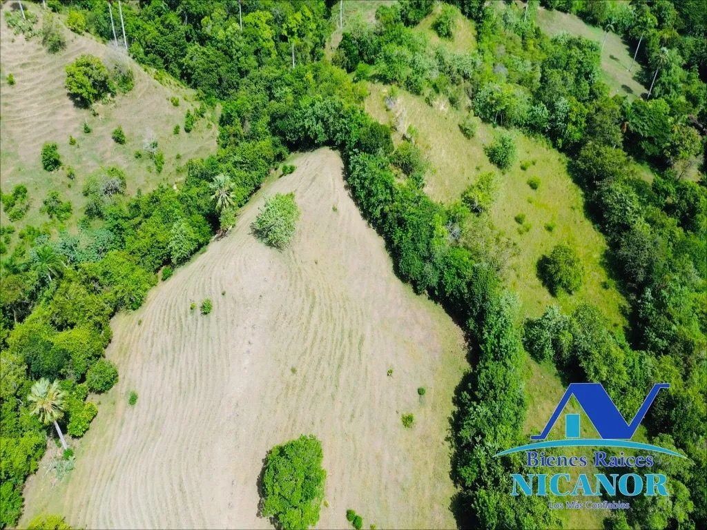 Finca de 825 tareas en venta - 13