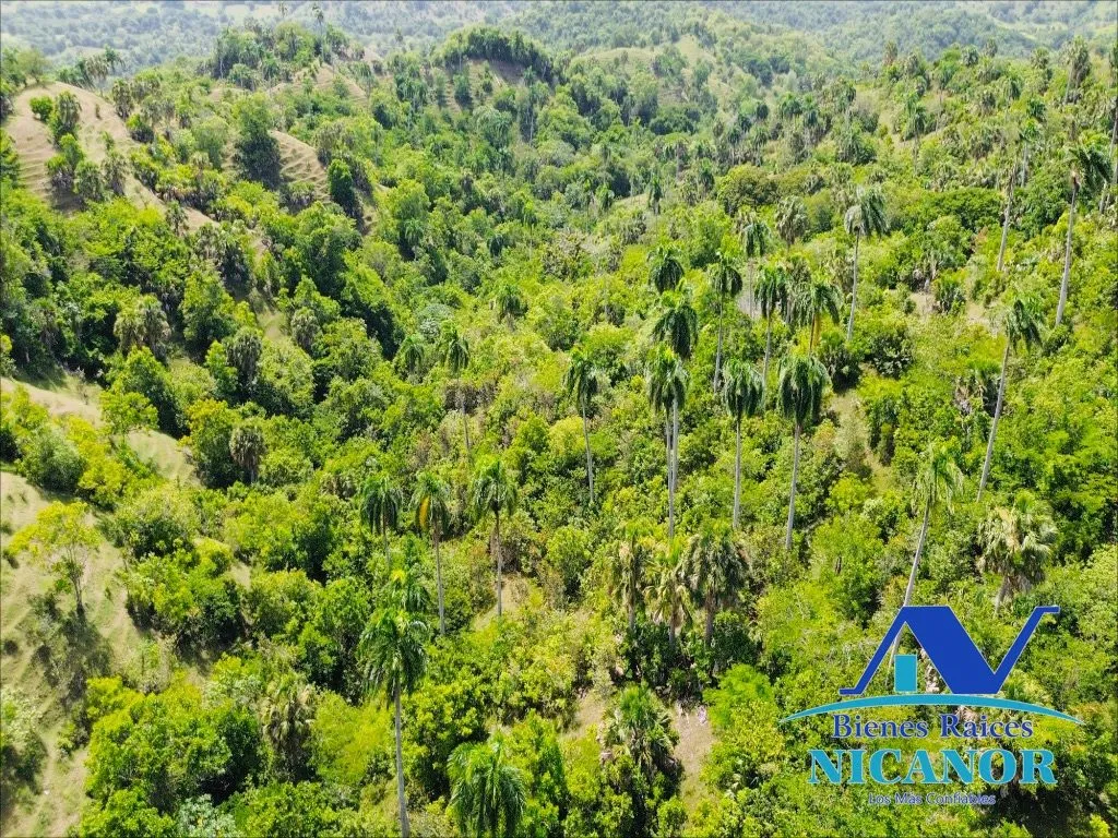 Finca de 825 tareas en venta - 15