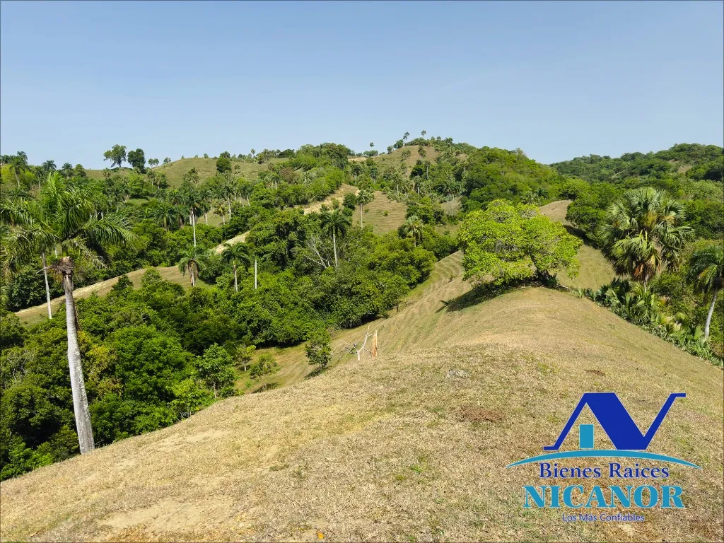 Finca de 825 tareas en venta - 2