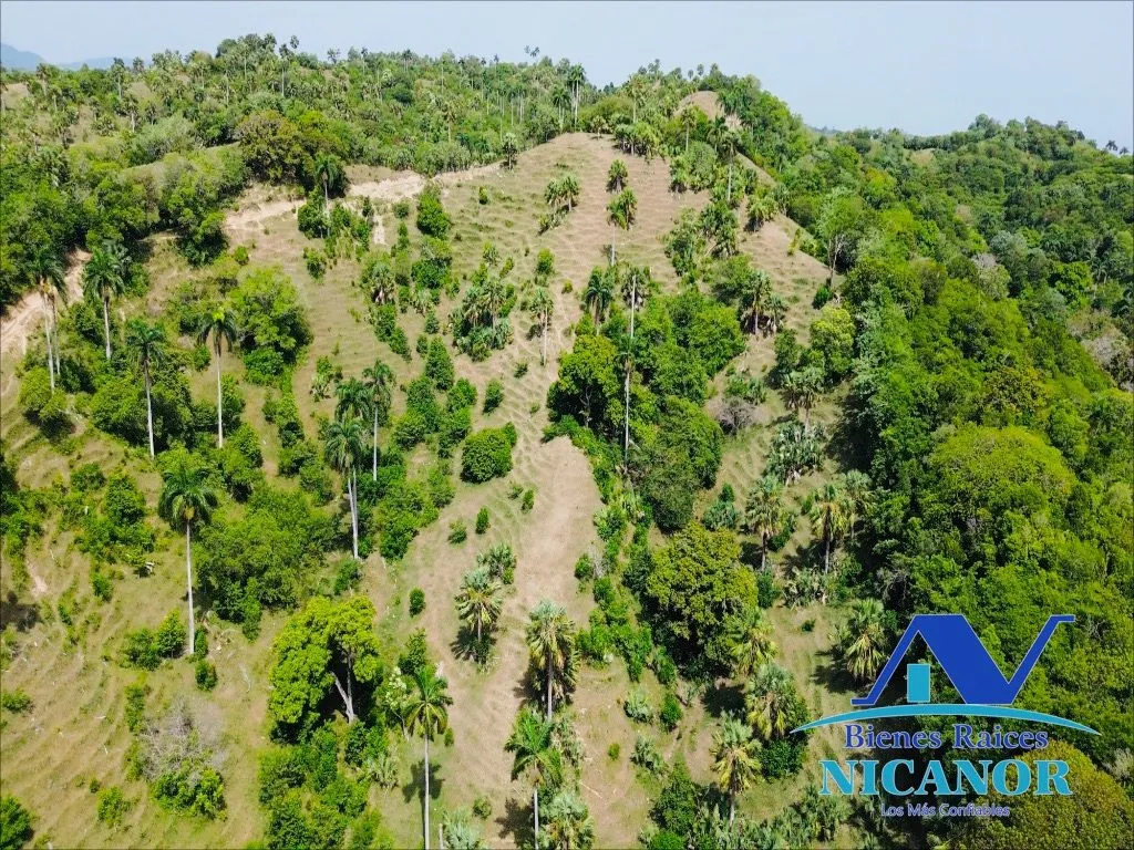 Finca de 825 tareas en venta - 14
