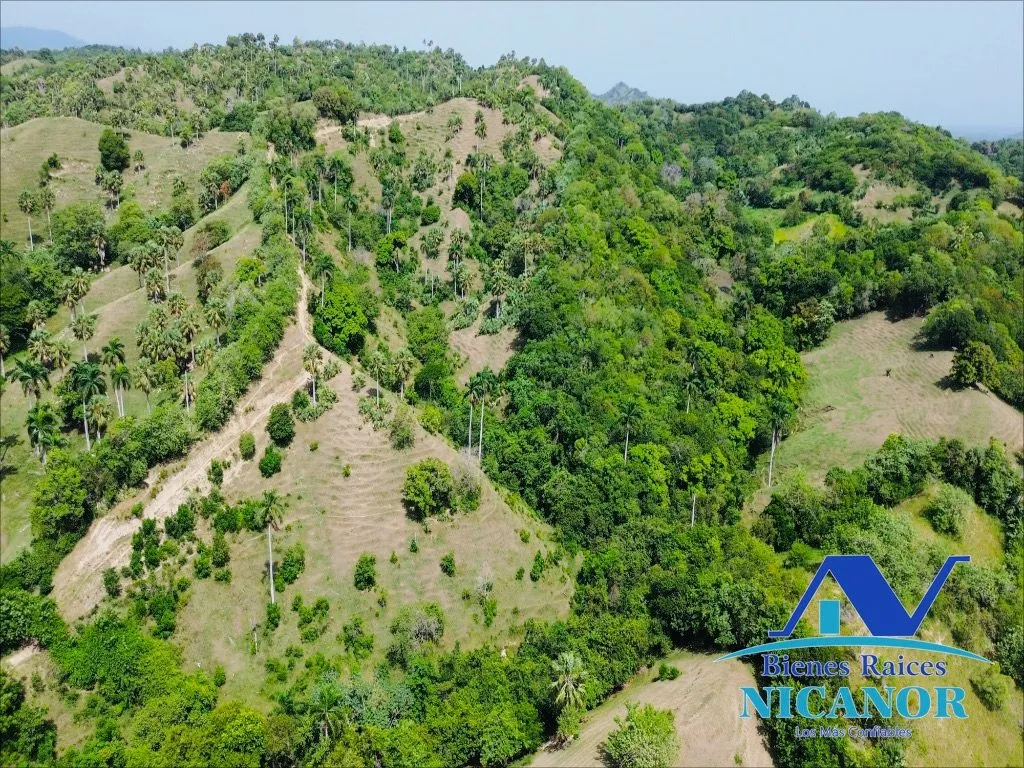 Finca de 825 tareas en venta - 9