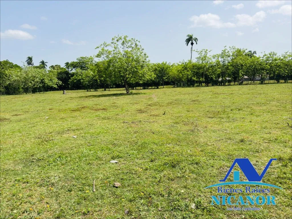 Finca de 825 tareas en venta - 4
