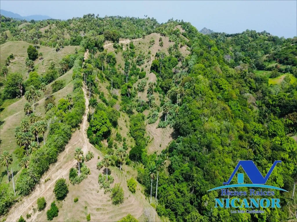 Finca de 825 tareas en venta - 12