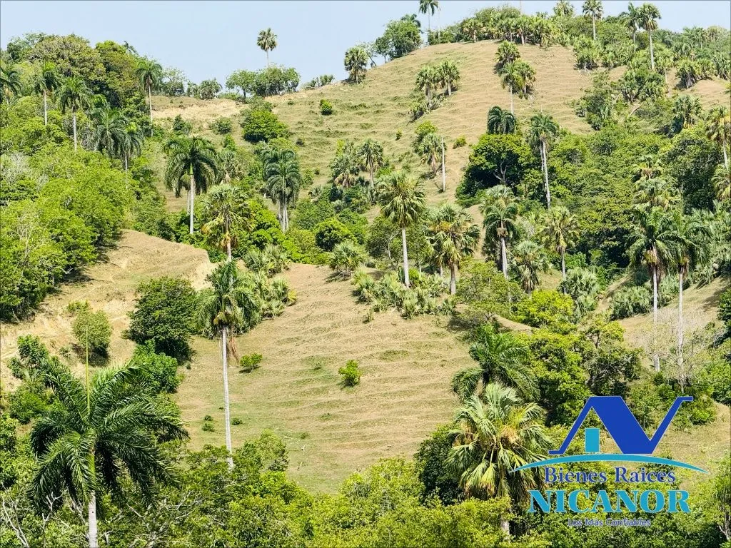 Finca de 825 tareas en venta - 6