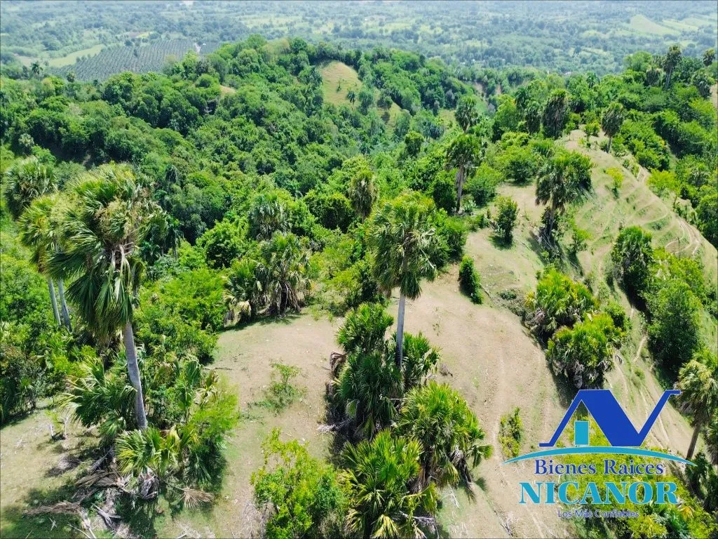Finca de 825 tareas en venta - 16