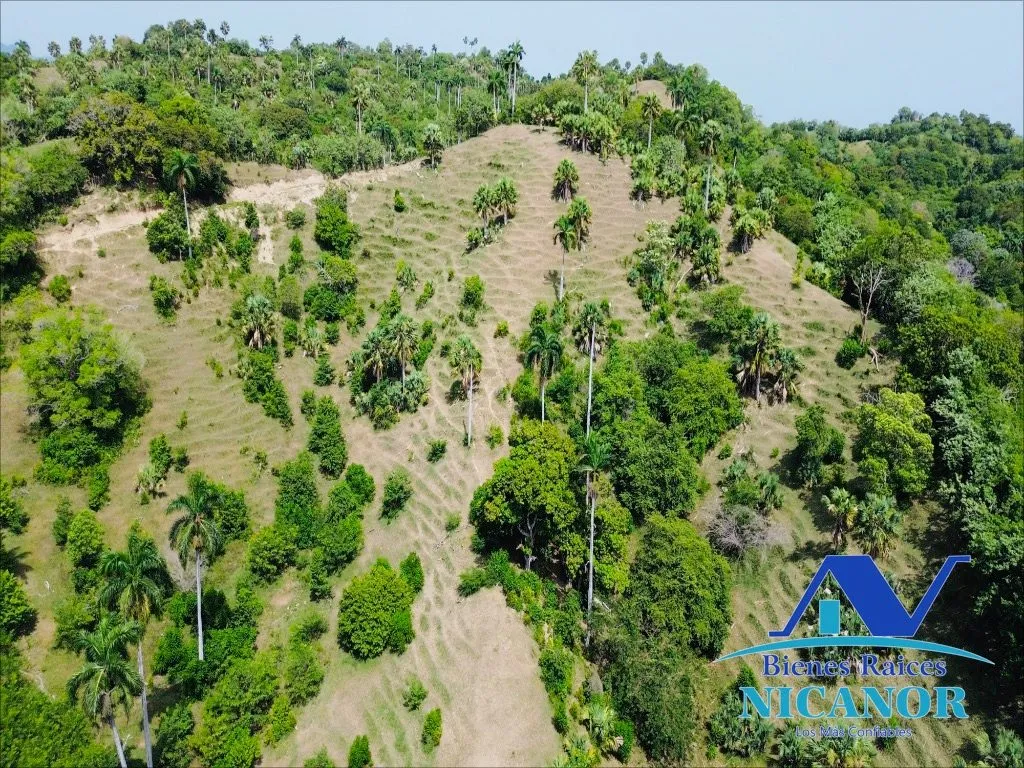 Finca de 825 tareas en venta - 7