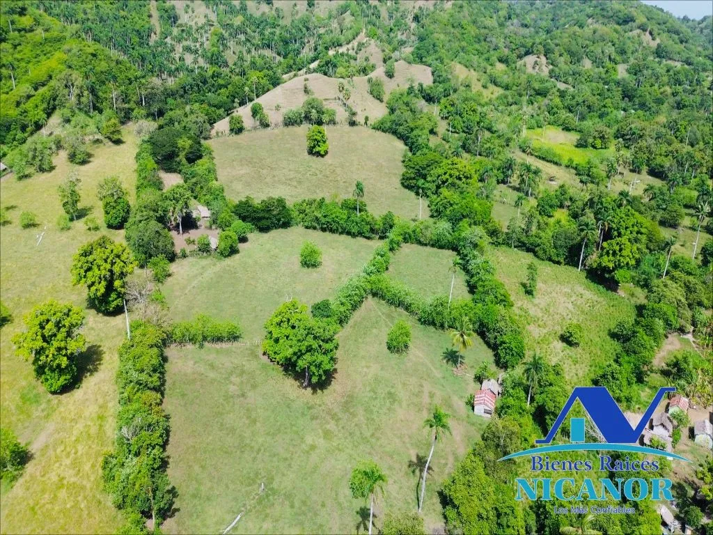 Finca de 825 tareas en venta - 19