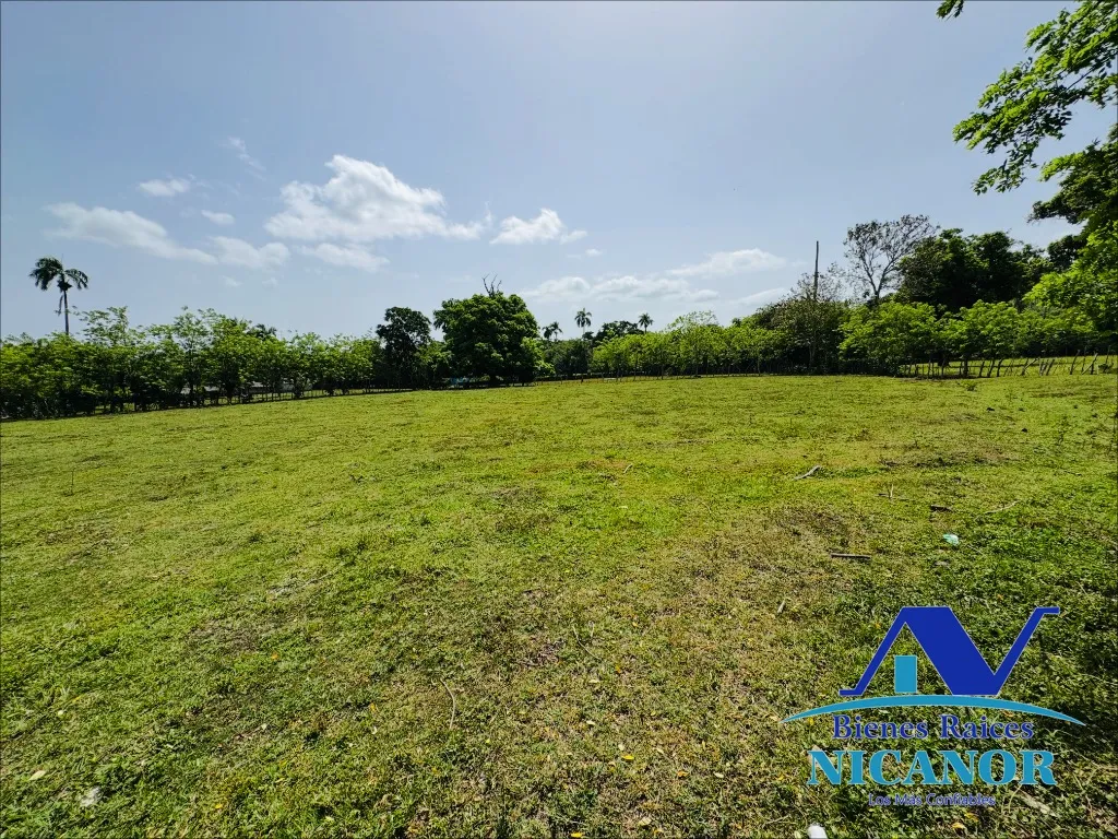 Finca de 825 tareas en venta - 5