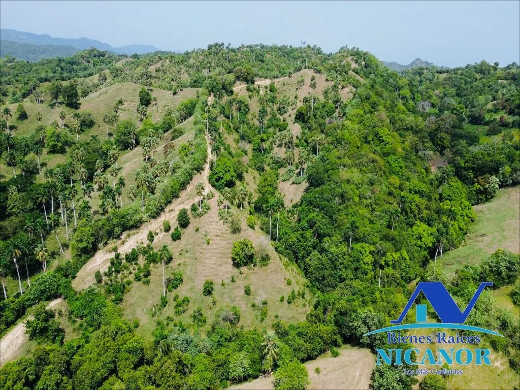 Finca de 825 tareas en venta - 10