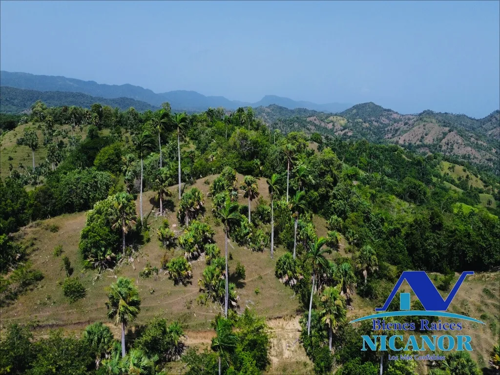 Finca de 825 tareas en venta - 18