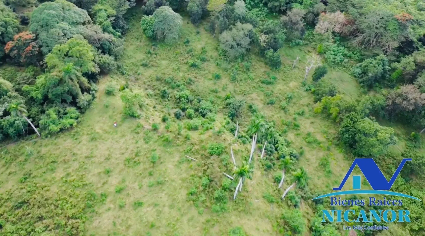 Finca de 1,150 tareas en venta en Guananico - 8