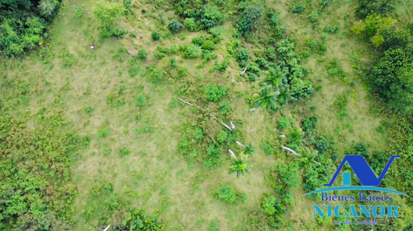 Finca de 1,150 tareas en venta en Guananico - 7