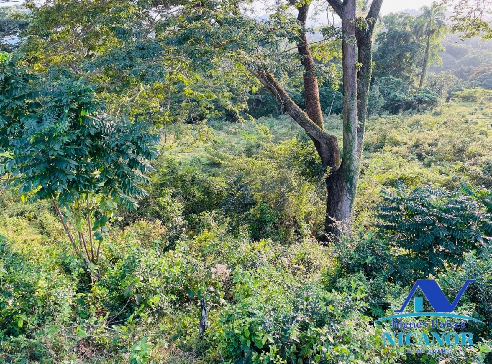 Finca de 1,150 tareas en venta en Guananico - 9