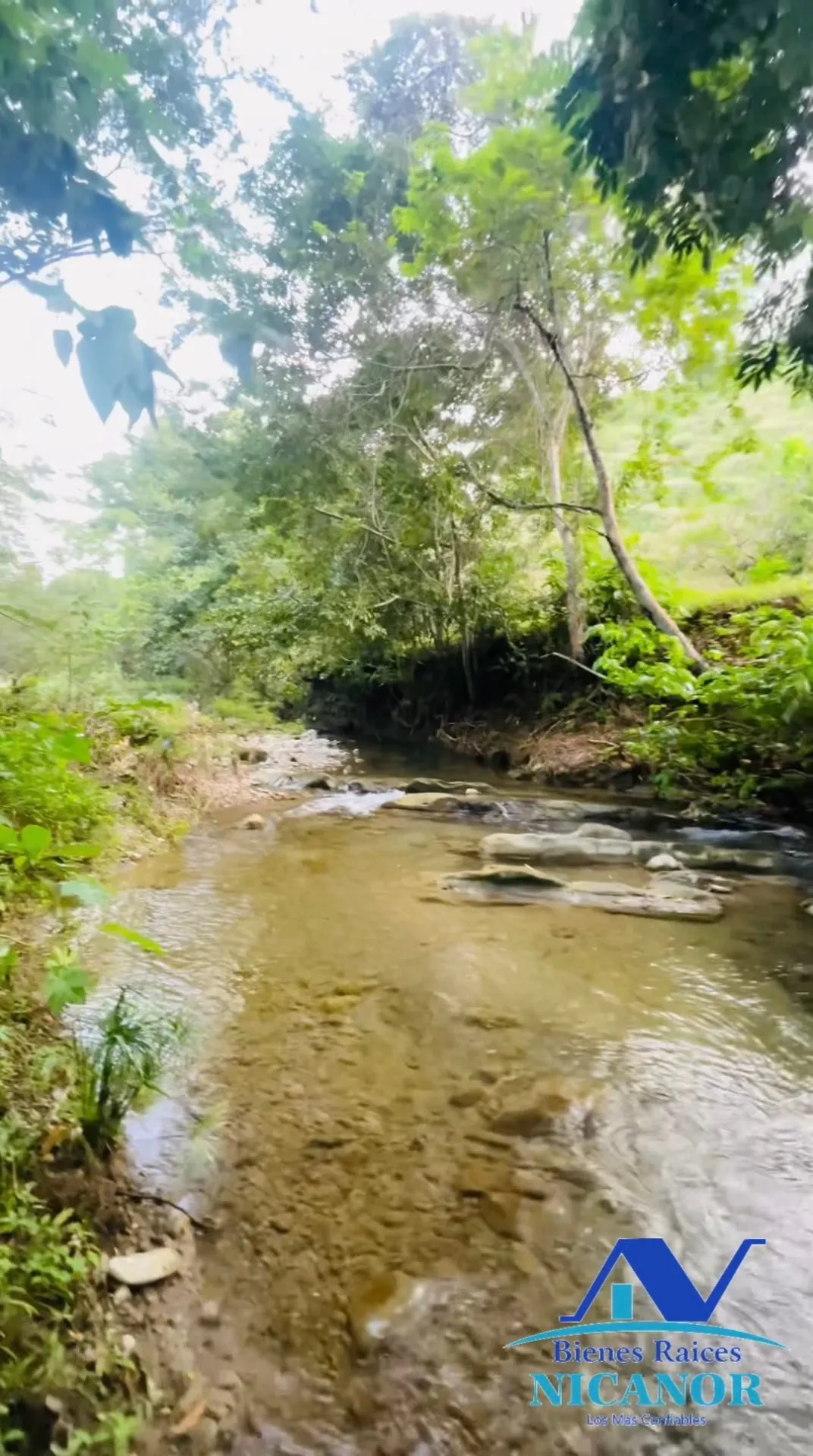 Finca de 1,150 tareas en venta en Guananico - 19