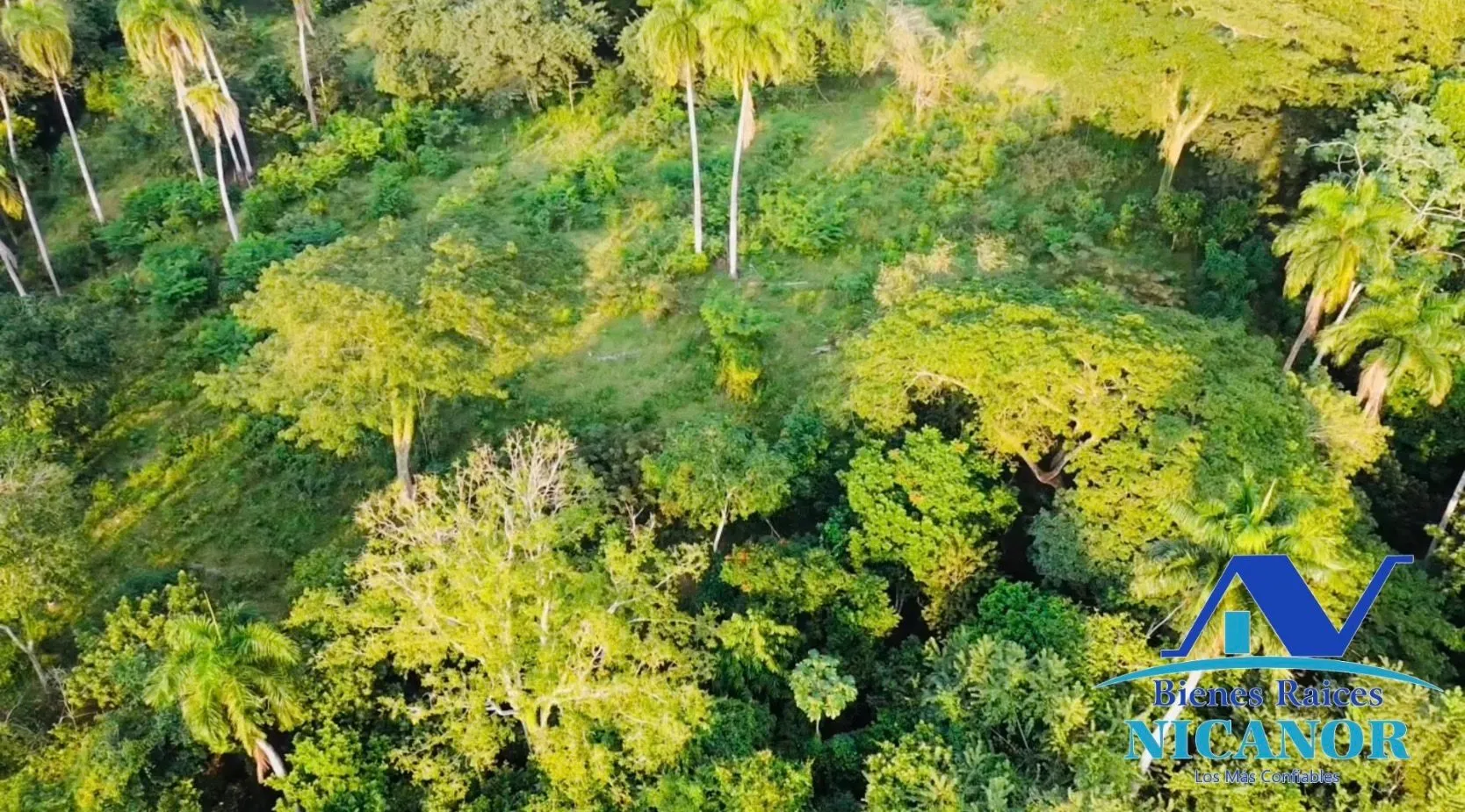 Finca de 1,150 tareas en venta en Guananico - 13