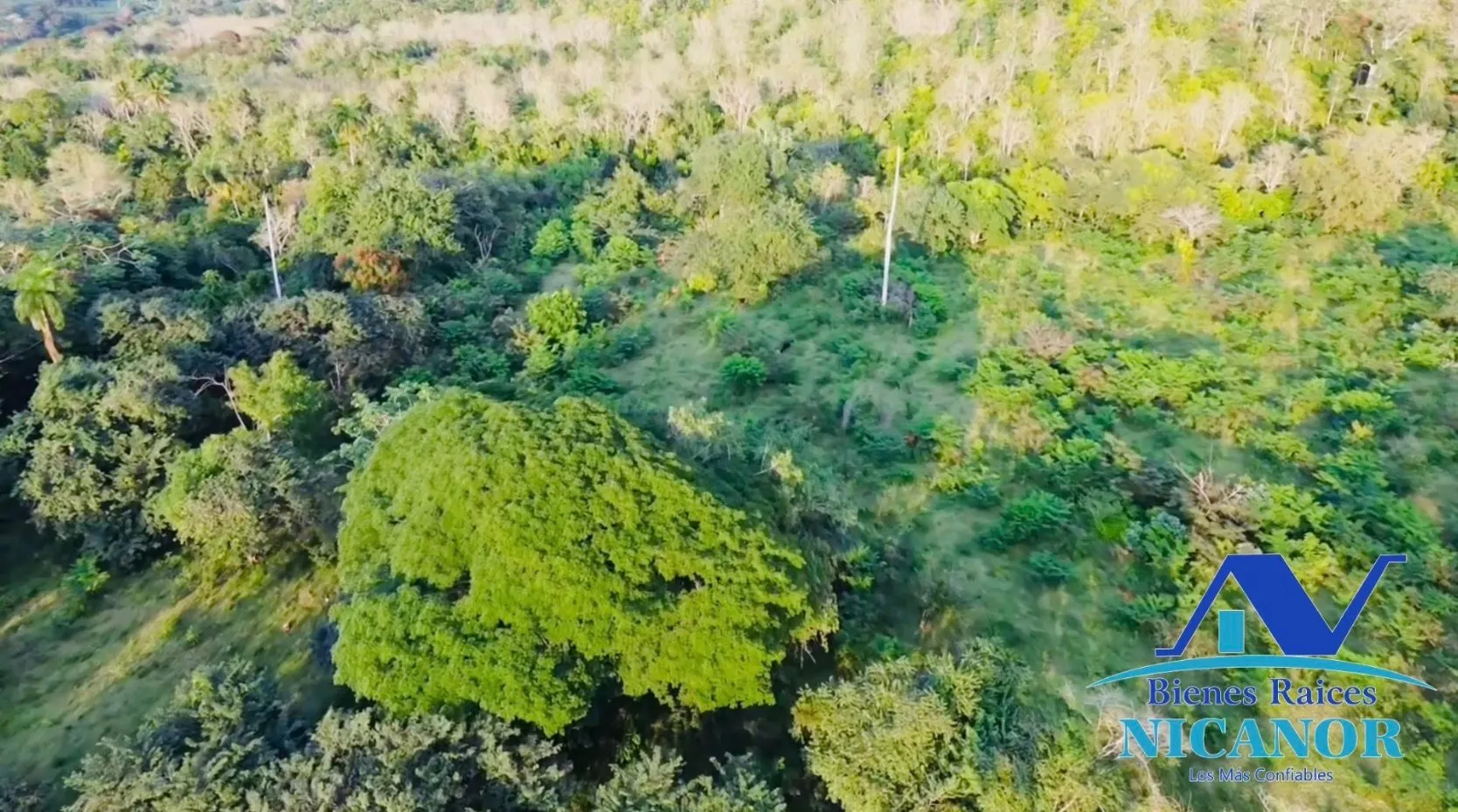 Finca de 1,150 tareas en venta en Guananico - 10
