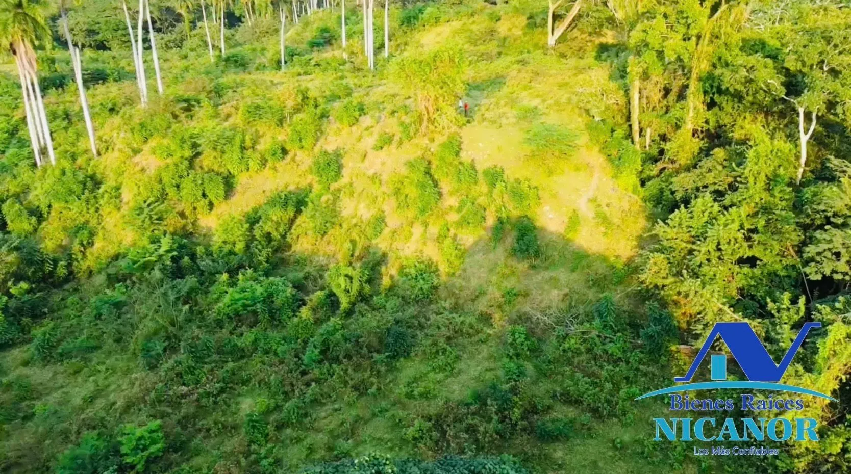 Finca de 1,150 tareas en venta en Guananico - 2