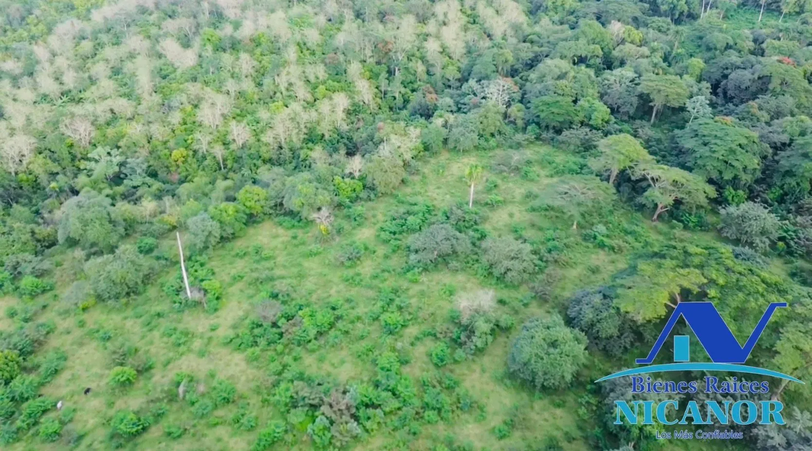 Finca de 1,150 tareas en venta en Guananico - 6