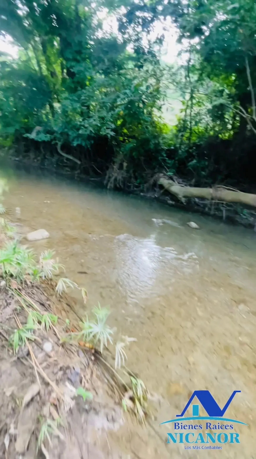 Finca de 1,150 tareas en venta en Guananico - 17