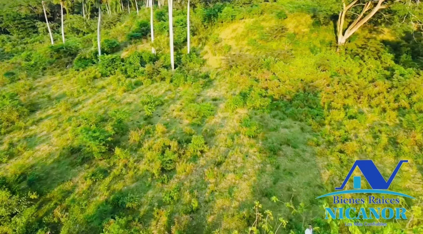Finca de 1,150 tareas en venta en Guananico - 4