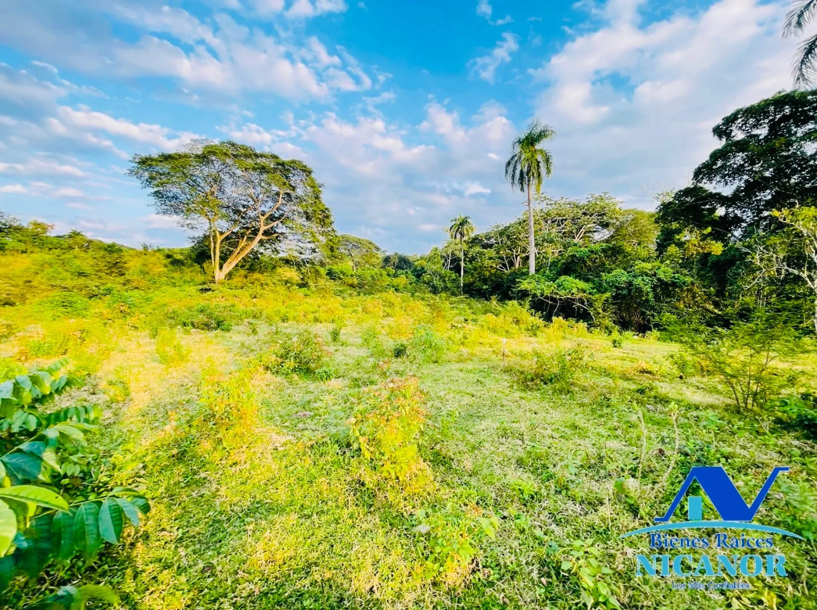 Finca de 1,150 tareas en venta en Guananico - 1