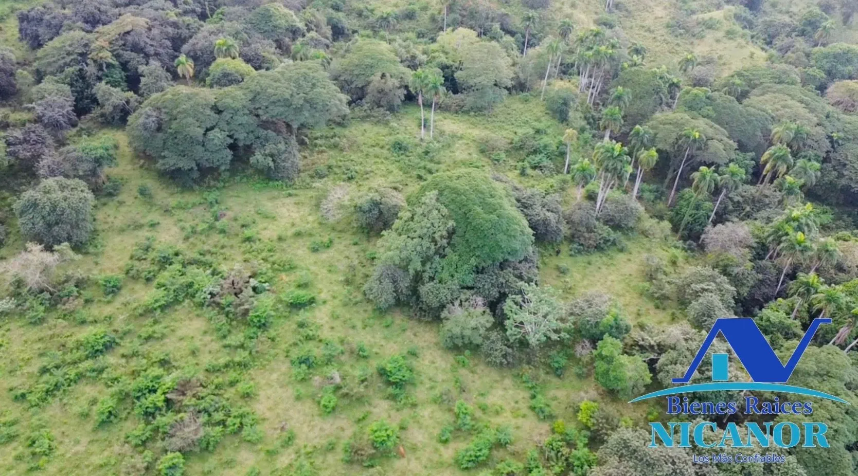Finca de 1,150 tareas en venta en Guananico - 5