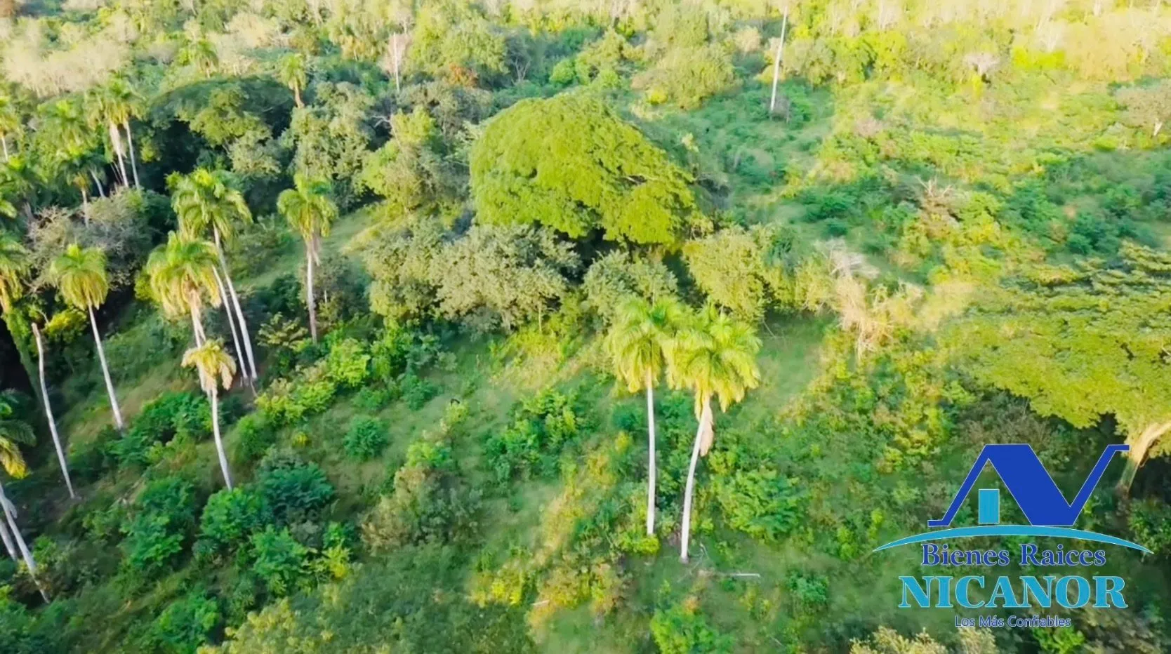Finca de 1,150 tareas en venta en Guananico - 14