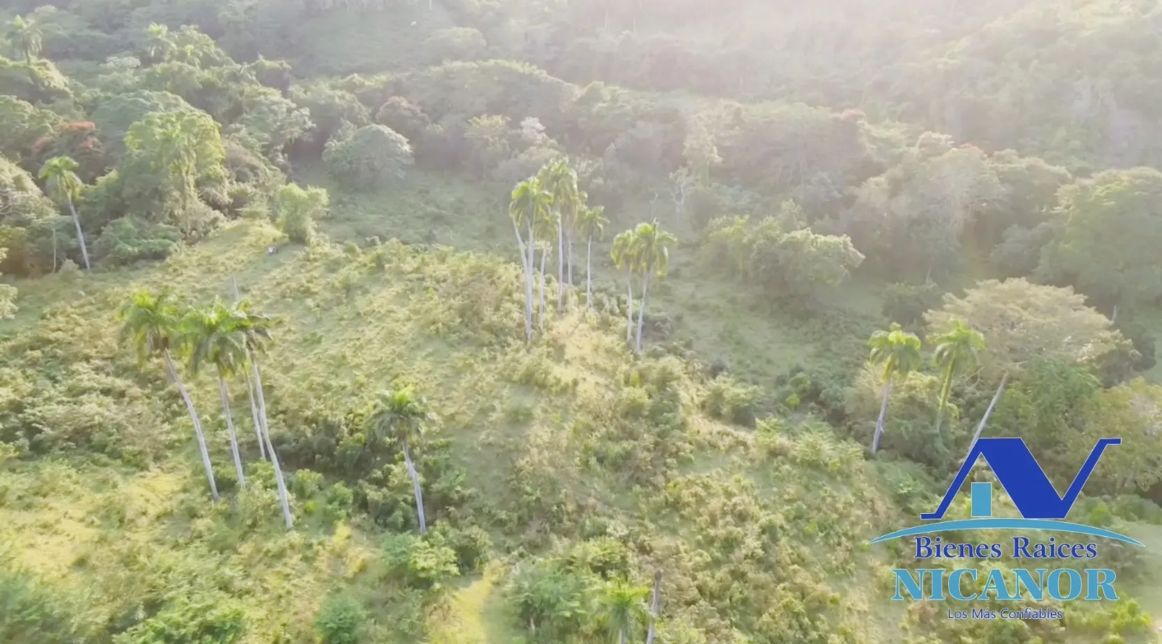 Finca de 1,150 tareas en venta en Guananico - 12