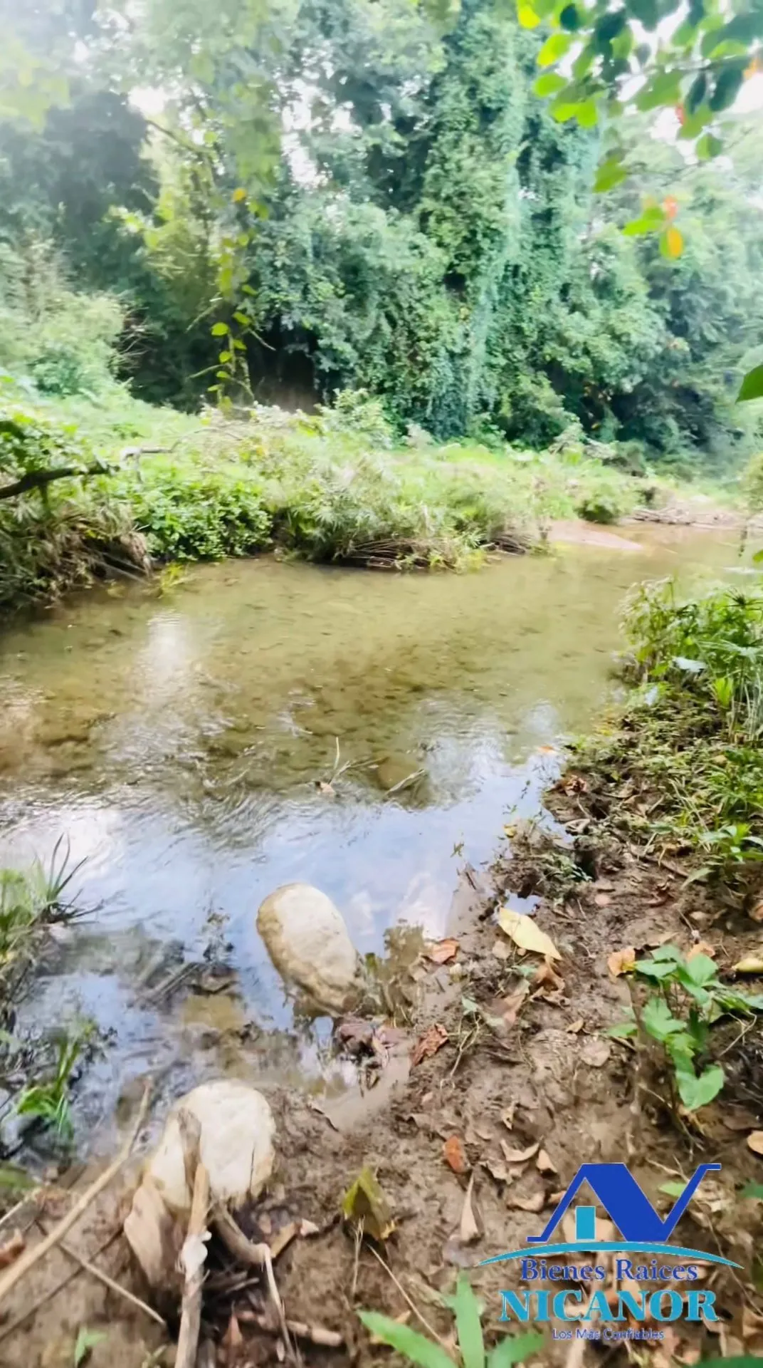 Finca de 1,150 tareas en venta en Guananico - 16