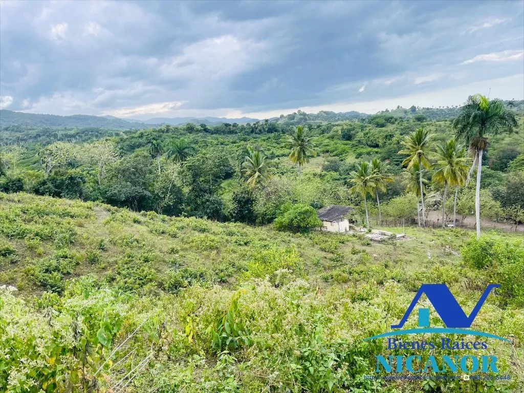 Finca de 5,200 tareas en venta - 1