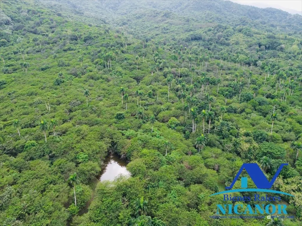 Finca de 5,200 tareas en venta - 11