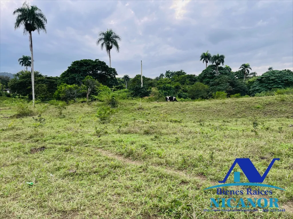 Finca de 5,200 tareas en venta - 10