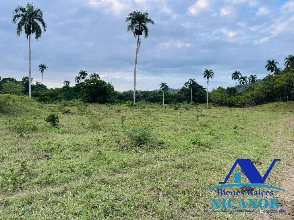 Finca de 5,200 tareas en venta - 8