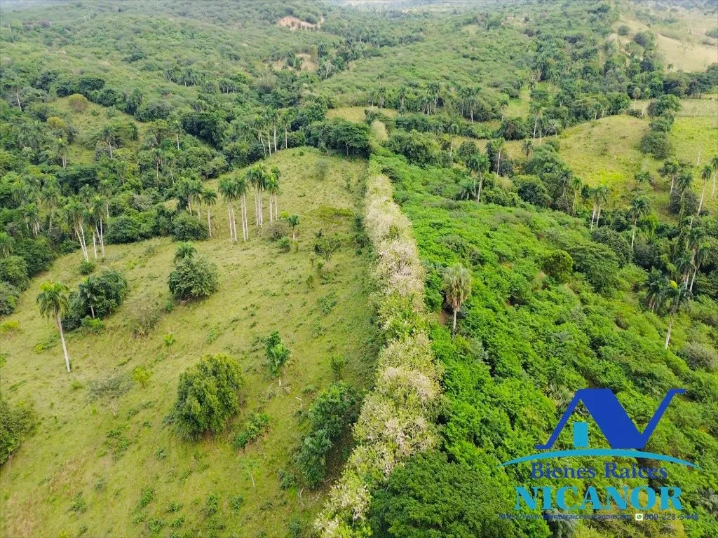 Finca de 5,200 tareas en venta - 6