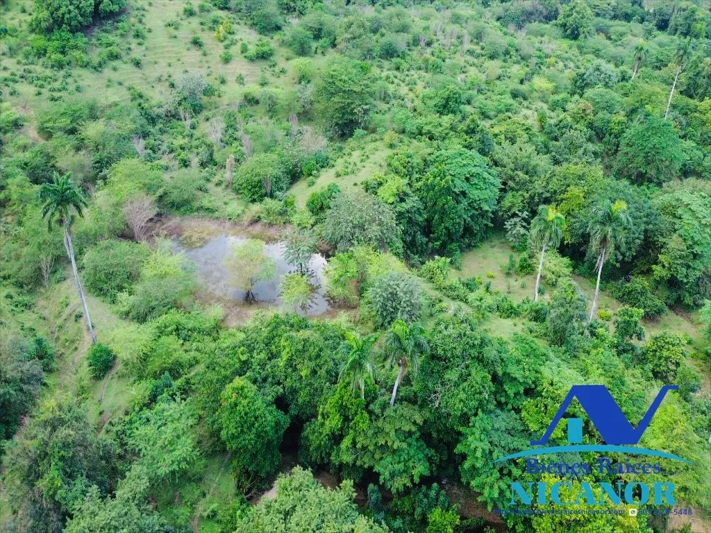 Finca de 5,200 tareas en venta - 13