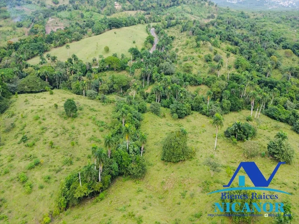 Finca de 5,200 tareas en venta - 7