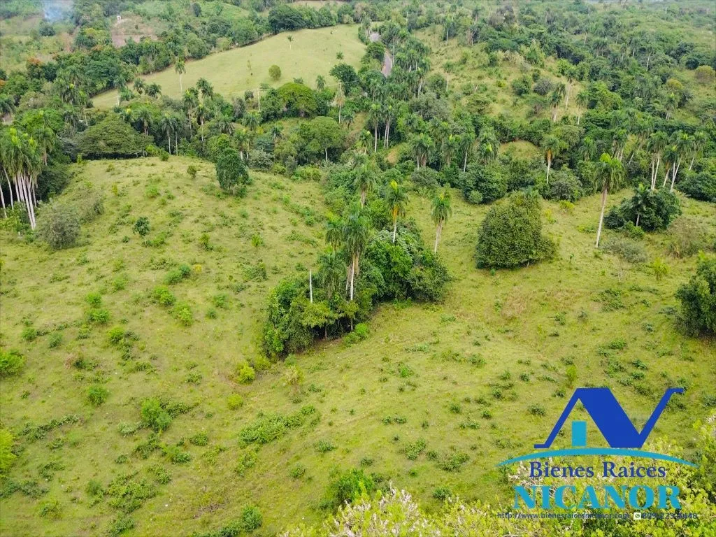 Finca de 5,200 tareas en venta - 5