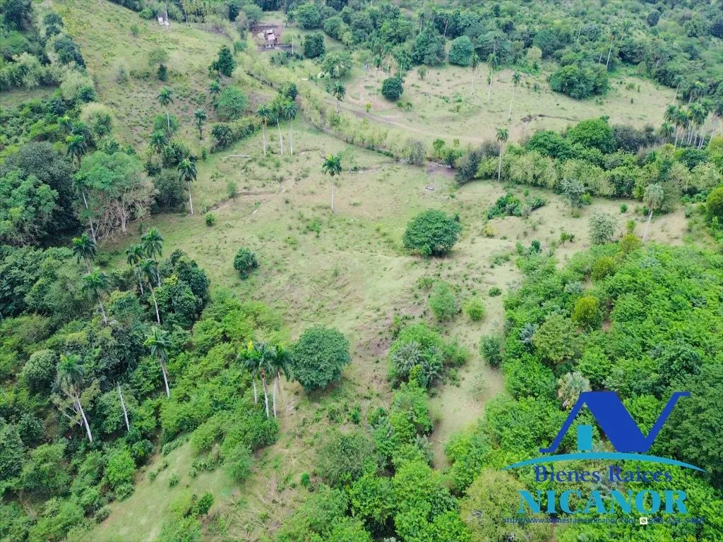 Finca de 5,200 tareas en venta - 4