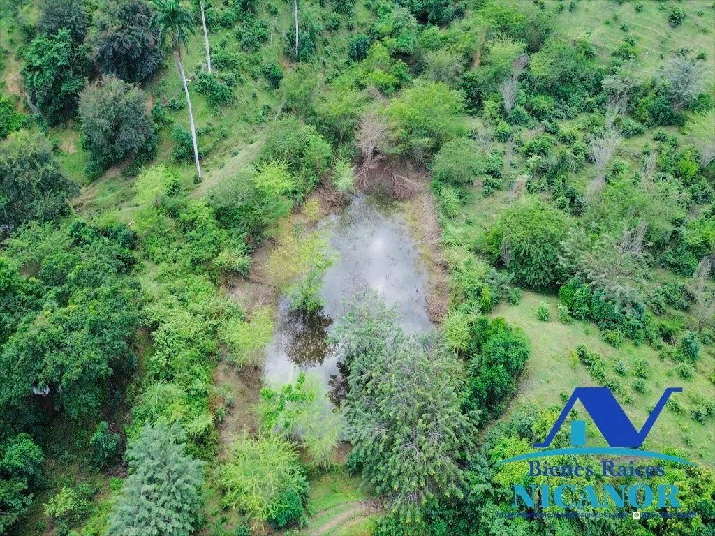 Finca de 5,200 tareas en venta - 14