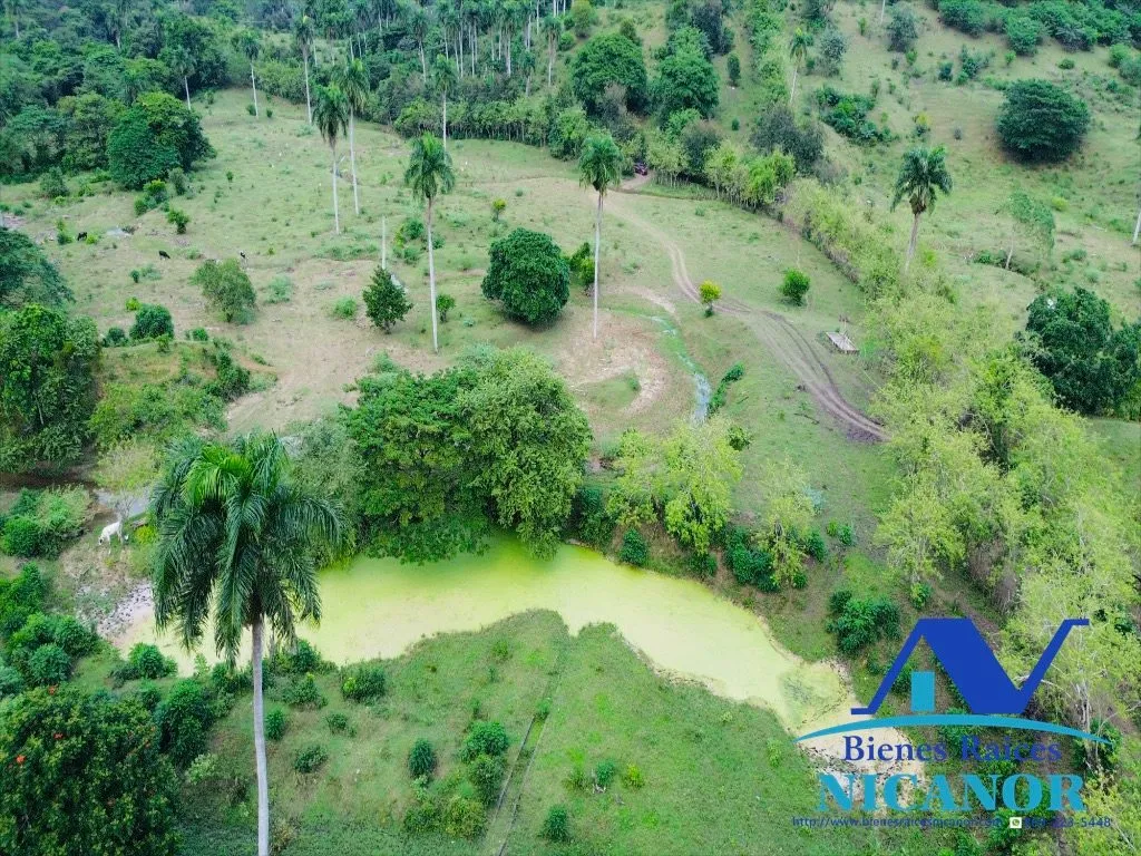 Finca de 5,200 tareas en venta - 15