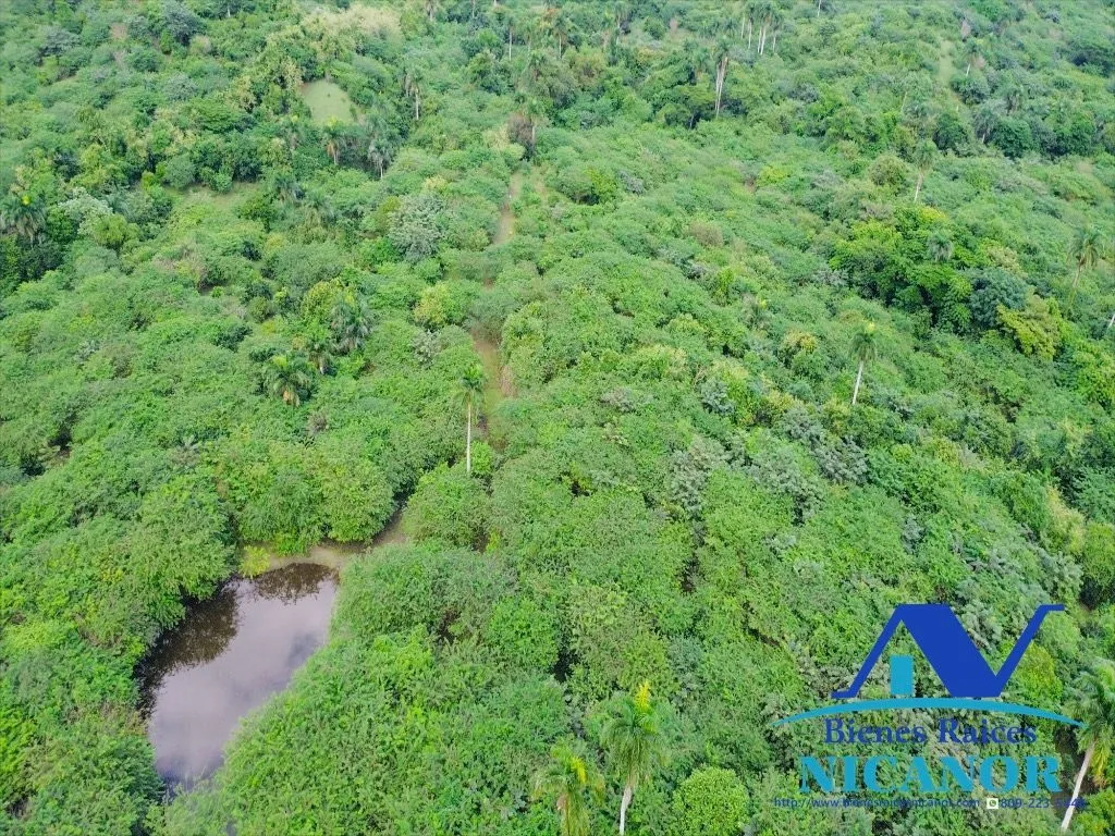 Finca de 5,200 tareas en venta - 12