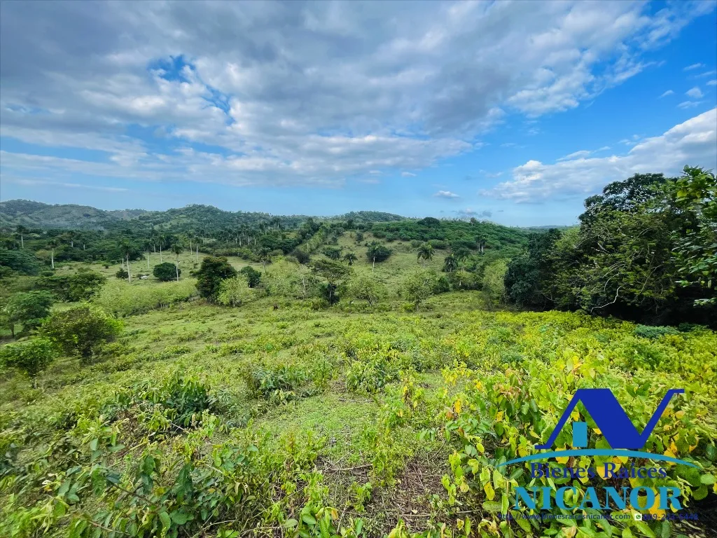 Finca de 5,200 tareas en venta - 3