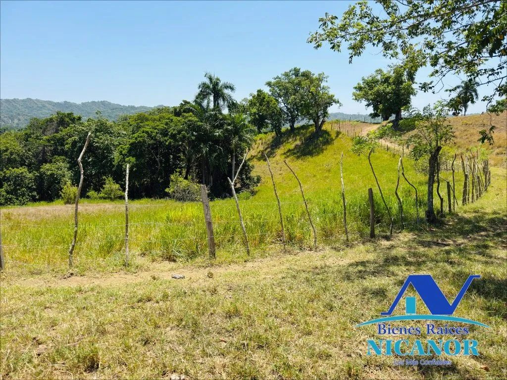 Finca de 846 tareas en venta - 3