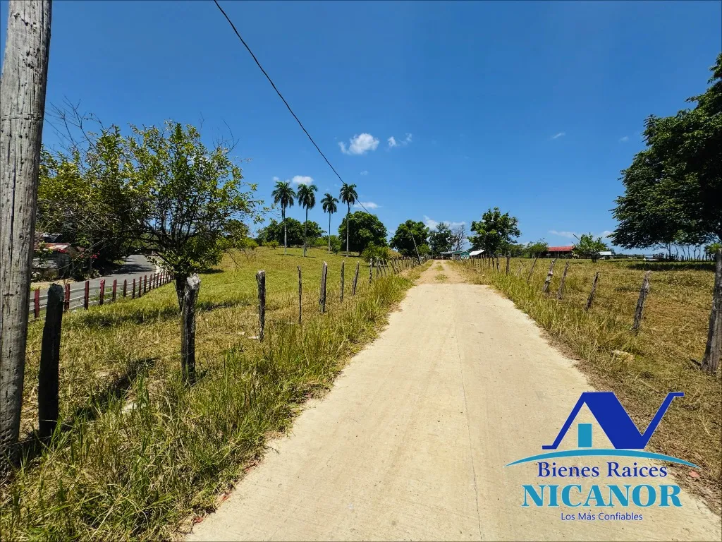 Finca de 846 tareas en venta - 8