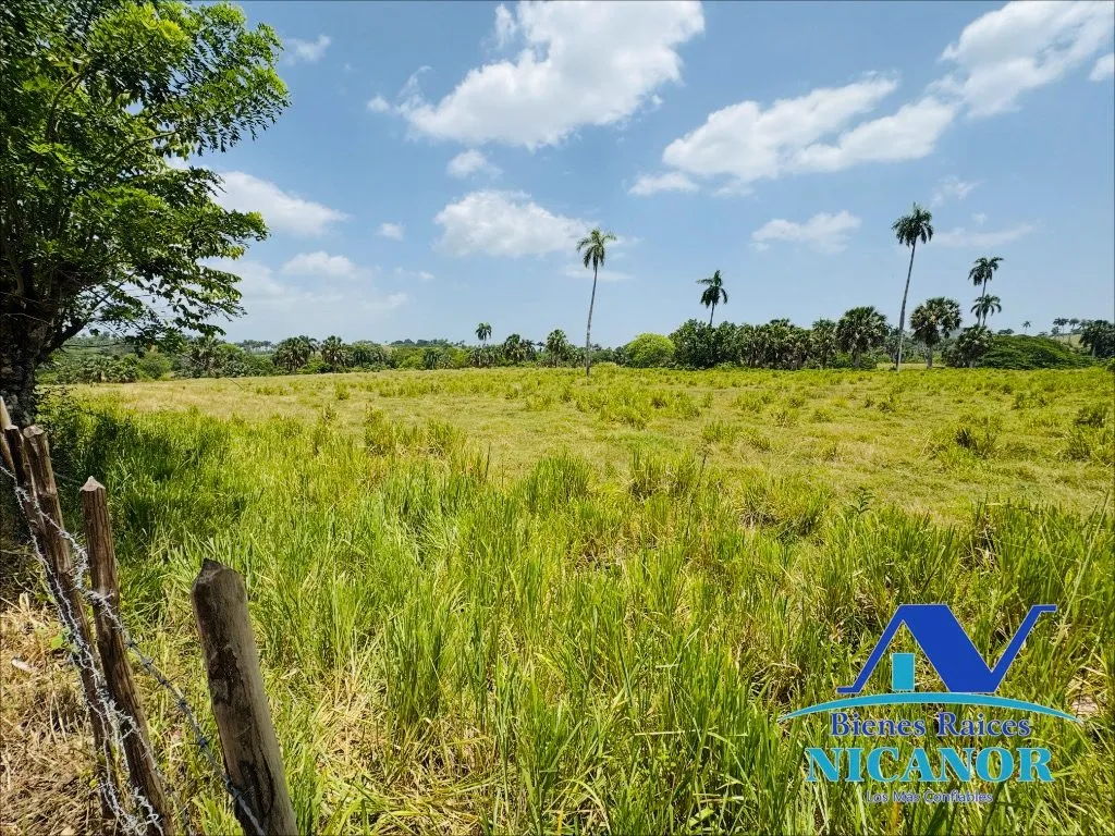Finca de 1,010 tareas en venta - 9