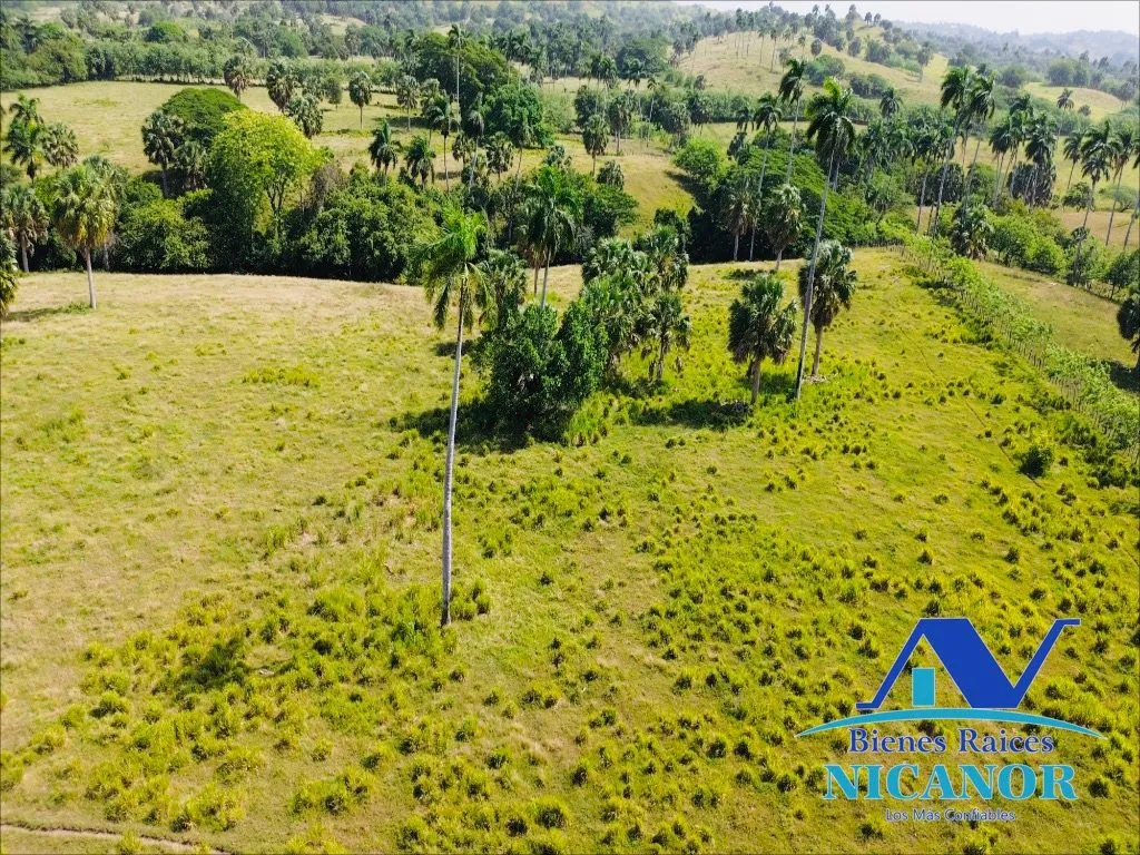 Finca de 1,010 tareas en venta - 2