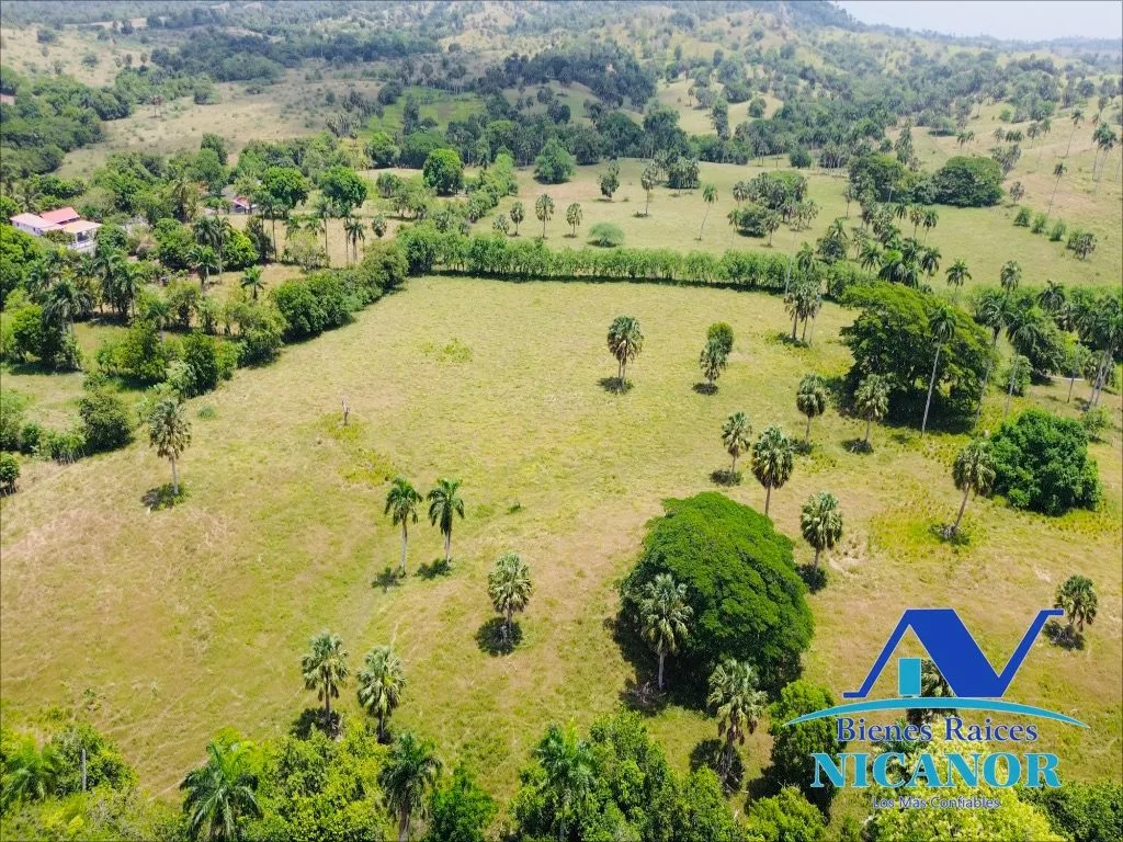 Finca de 1,010 tareas en venta - 4