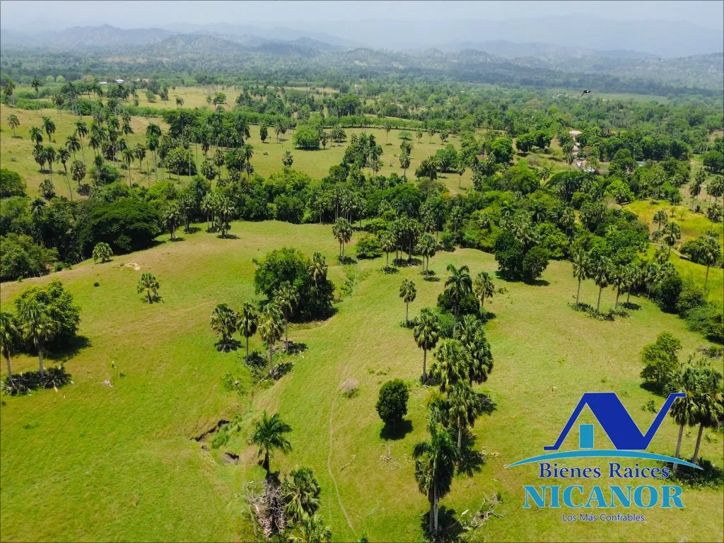 Finca de 1,010 tareas en venta - 6