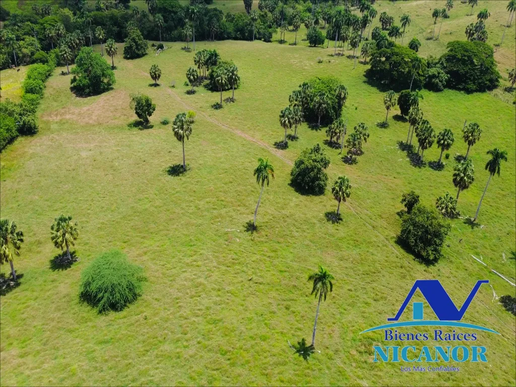 Finca de 1,010 tareas en venta - 7