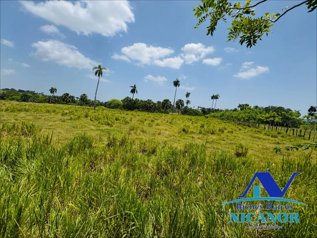Finca de 1,010 tareas en venta - 10